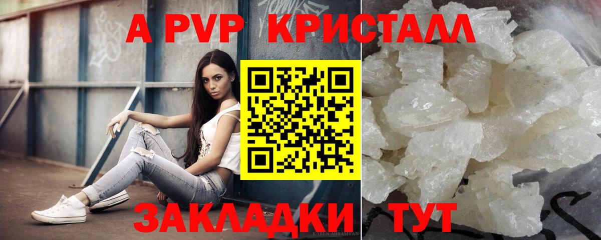 A-PVP СК КРИС Сыктывкар